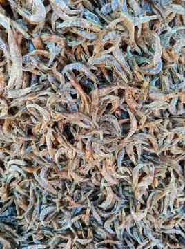 Dry Fish Stock Photos