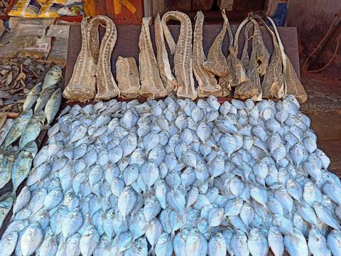 Dry Fish Stock Photos