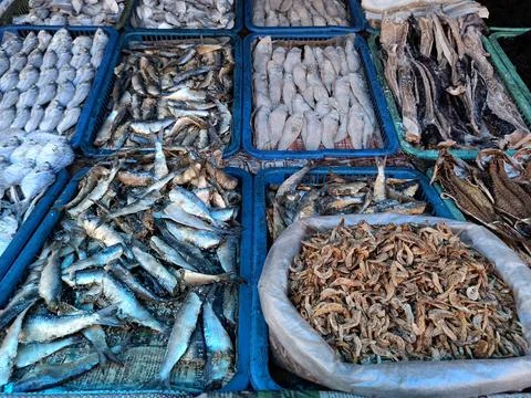Dry Fish Stock Photos