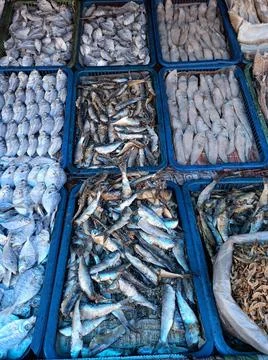 Dry Fish Stock Photos