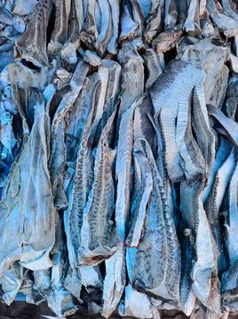 Dry Fish Stock Photos