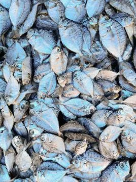 Dry Fish Stock Photos