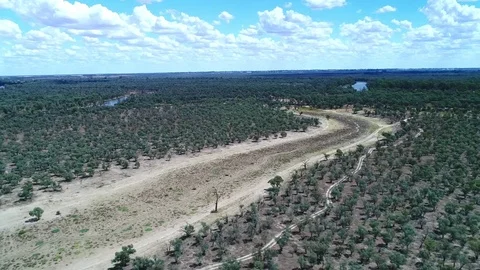 Dry Flood Plain Stock Footage 80144491