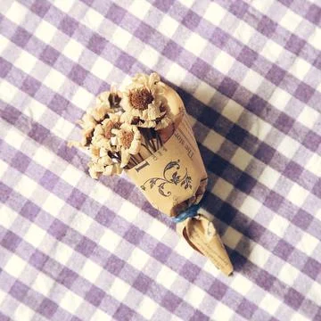 Dry flower bouquet on check pattern fabric background Stock Photos