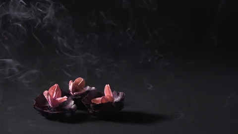 Dry flowers and clouds of aromatic smoke against a dark background. Health and Stock Footage 125402194