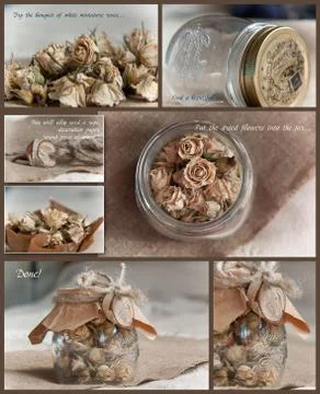 Dry flowers in a bottle or jar. collage. Stock Illustration