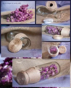 Dry flowers in a bottle or jar. collage. Stock Illustration