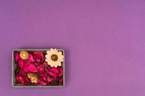  Dry flowers composition Stock Photos