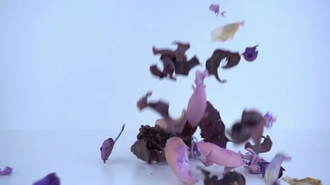 Dry flowers falling in slow motion. Stock Footage 95702547