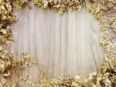 Dry flowers frame top view on wooden space copy background Stock Photos