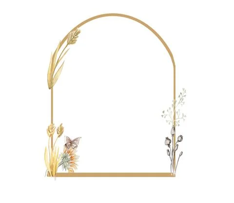 Dry flowers frames composition Illustrazione stock