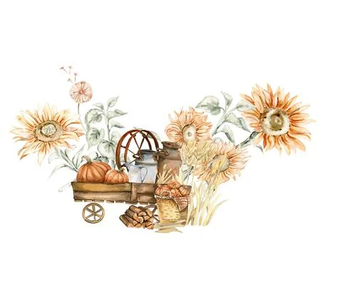 Dry flowers frames composition Stock Illustration