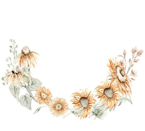 Dry flowers frames composition Stock Illustration