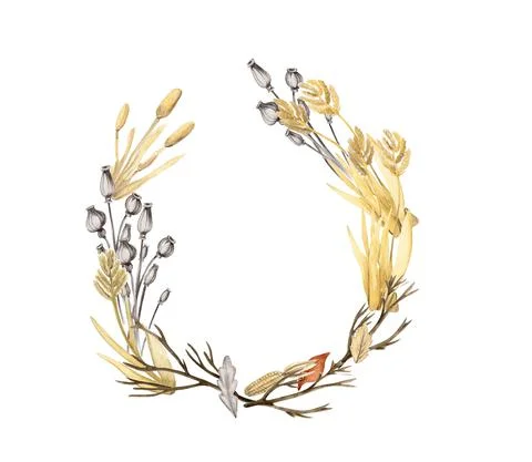 Dry flowers frames composition Stock Illustration