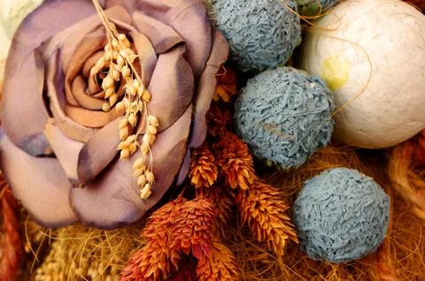 Dry Flowers Stock Photos