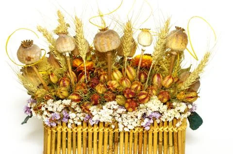 Dry flowers Stock Photos
