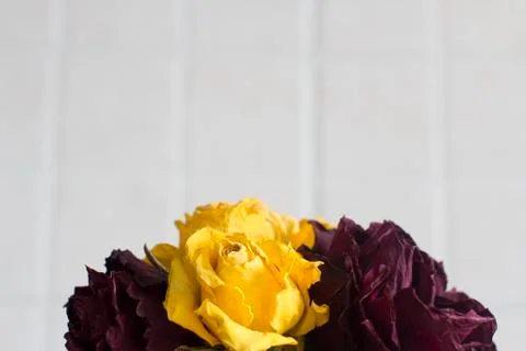 Dry flowers Stock Photos
