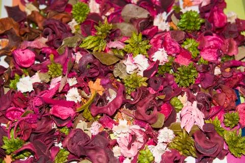 Dry flowers - texture Stock Photos