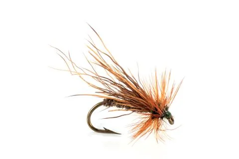 Dry fly Stock Photos