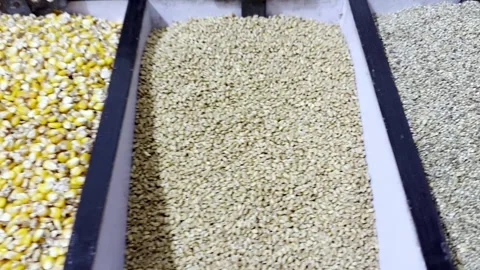 Dry Food Items Including Rice, Maize and Grains Stock Footage 341496700