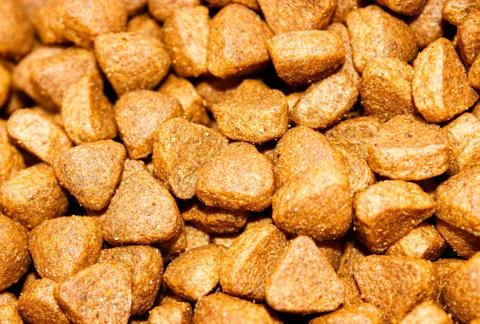Dry food triangular shape for animals close-up. Foto stock