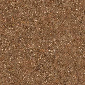 Dry Forest Floor With Pine Needles And Debris Stock Photos