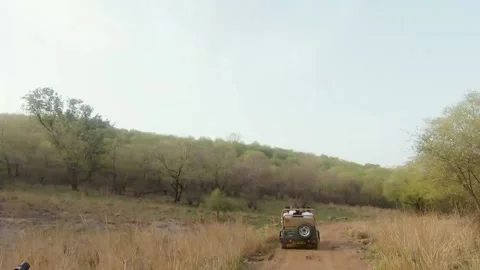 Dry forest Stock Footage 204837140