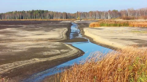 Dry forest lake Stock Footage 123411988