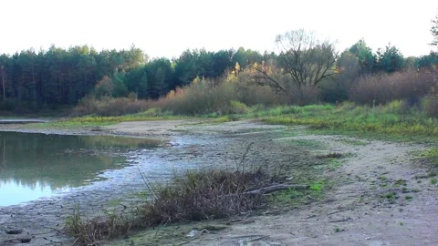 Dry forest lake Stock Footage 123412074
