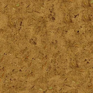 Dry Forest Soil With Pine Cones And Needles Stock Photos