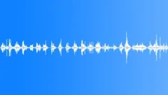 Dry forest walking Sound Effect