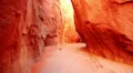 Dry Fork Narrows 11 Grand Staircase Escalente Canyoneering HD Footage