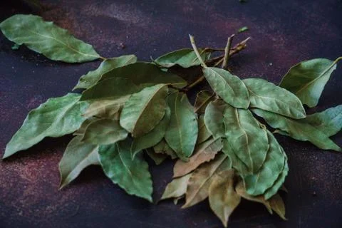 Dry fragrant laurel tree branches along with dried leaves on the table. Stock Photos