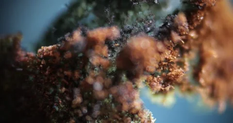 Dry Fuel Ash Particles under Microscope Close Up, Detailed Microscopic Structure Stock Footage 322601616