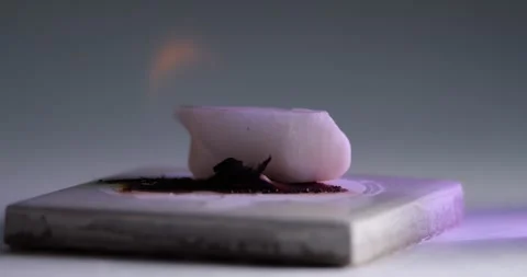 Dry Fuel Piece on Ceramic Substrate Ignited by Gas Torch, Preparation for Stock Footage 322605256