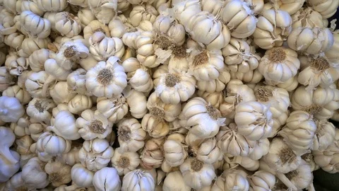 Dry Garlic View Stock Footage 106224501