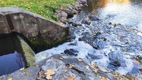 Dry golden-brown maple leaf lying on a gray stone railing overlooking a river 写真素材