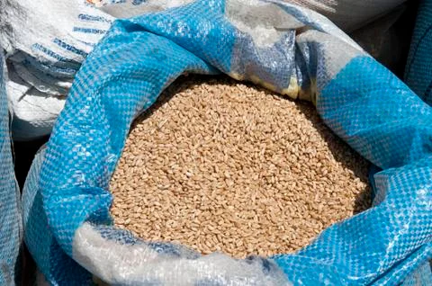 Dry Grain Stock Photos