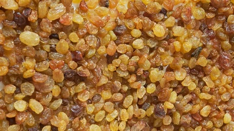 Dry grapes  Stock Footage 83610533