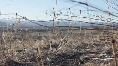 Dry grass and mountains Stock Footage 90433799