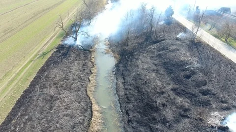 Dry grass and reed burning along the banks of the irrigation canal Stock Footage 96375384