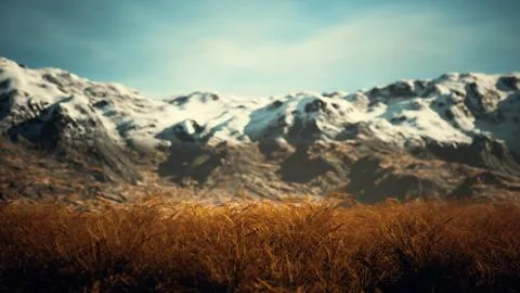 Dry grass and snow covered mountains in Alaska Stock Illustration