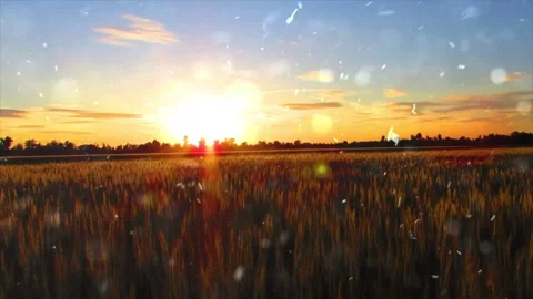 Dry Grass and Snowfall in Summer Extreme Weather Transition Stock Footage 330279931