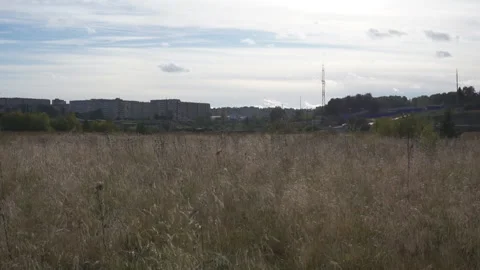 Dry grass in the background of the city with passing cars . Video stock 95030920