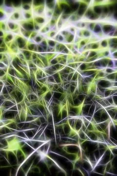 Dry grass background Stock Illustration