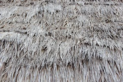 Dry grass background Stock Photos