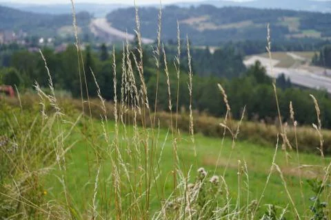 Dry grass on the background of road construction, autumn landscape. construct Stock Photos