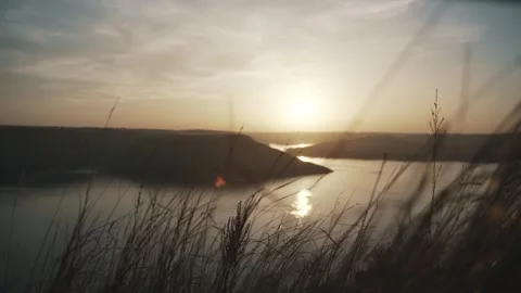 Dry grass on the background of the sunset Stock Footage 256564793
