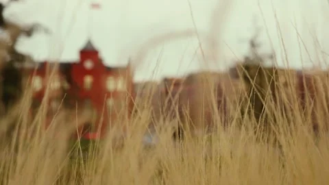Dry grass blowing in wind with blurred building in background Stock Footage 312208536