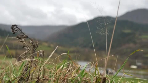 The dry grass is blown by the wind into the unfocussed mountains behind Video stock 257797449